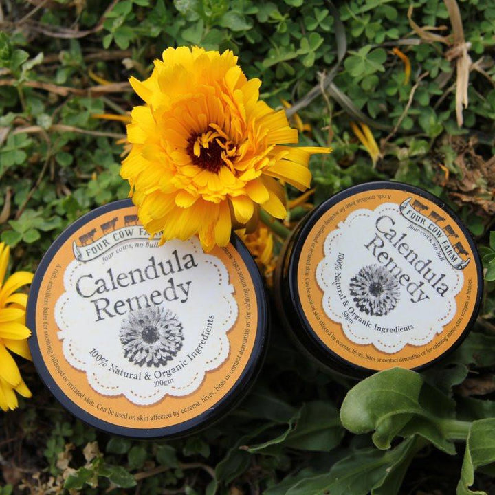 Calendula Remedy 金盞花修護霜 | Four Cow Farm